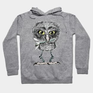 owl with snowdrop Hoodie